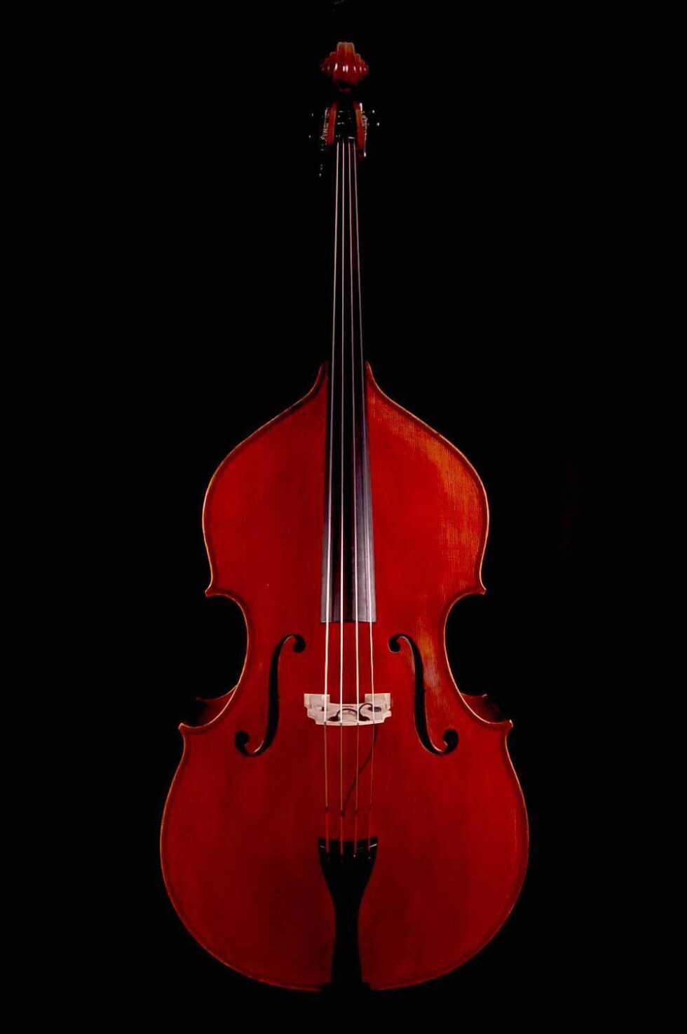 Double Basses | Rikkers Gitaarbouw