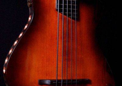 Rikkers Basgitaar Acoustiline Fretless 5-string Closeup