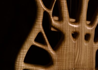 Rikkers Treeline 5-string German ash Detail
