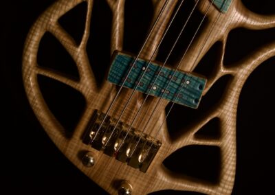 Rikkers Treeline 5-string German ash Detail