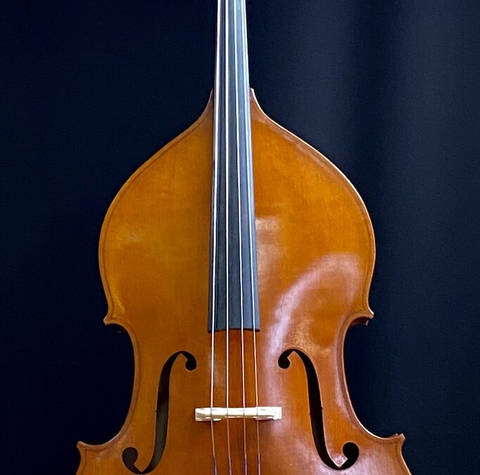 ¾ Double bass model ‘Parma’, laminated