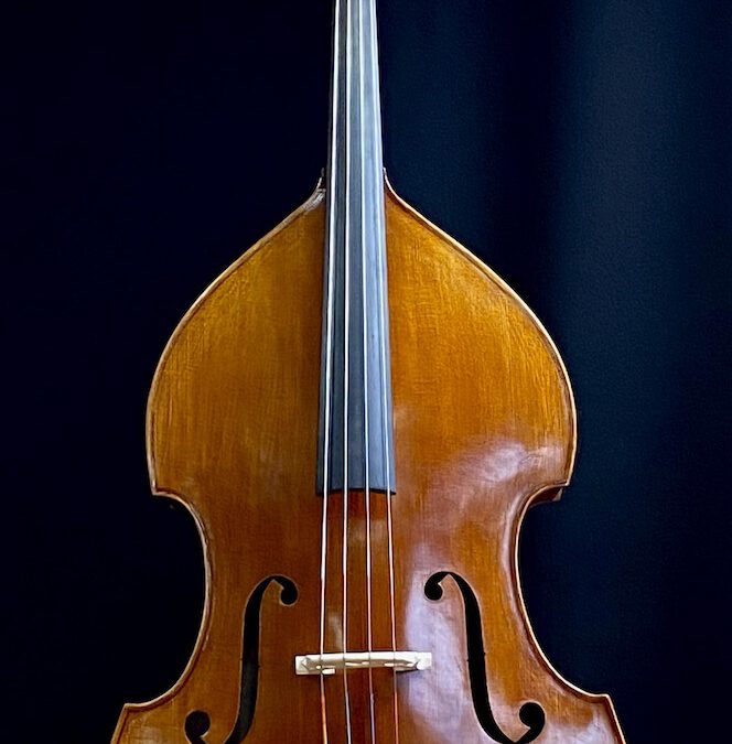Schneider Double Bass