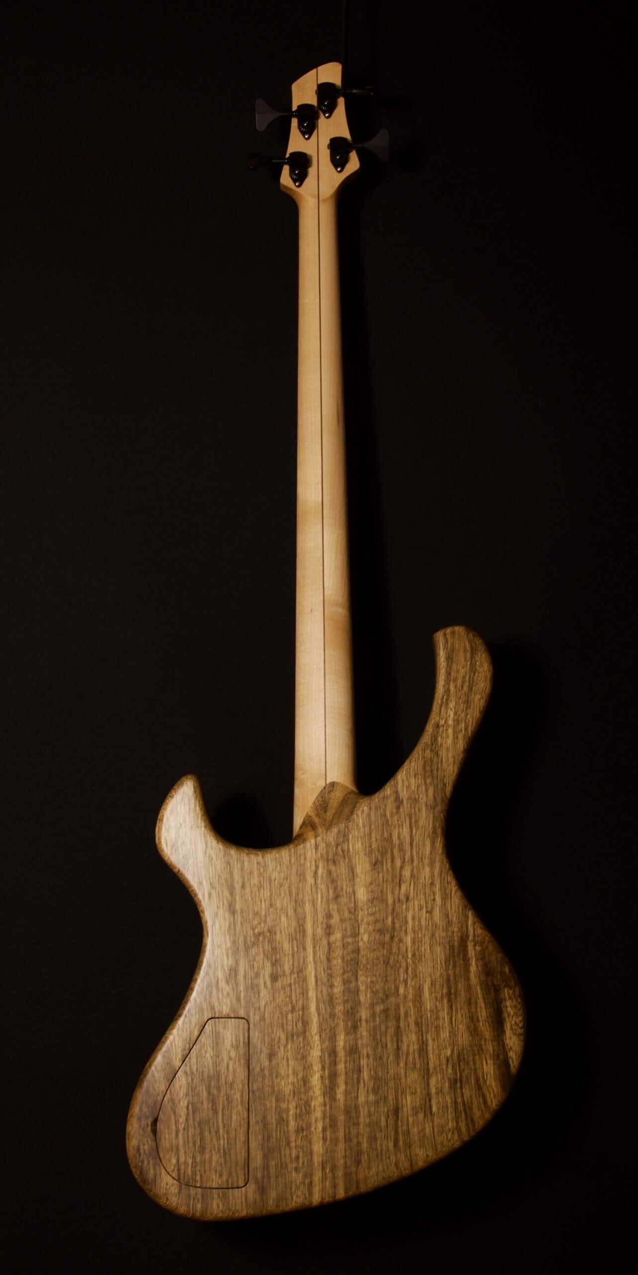 Hollowline Spalted Beech 2 Rikkers Classicline 4-string Buckeye_Paduak_Overview